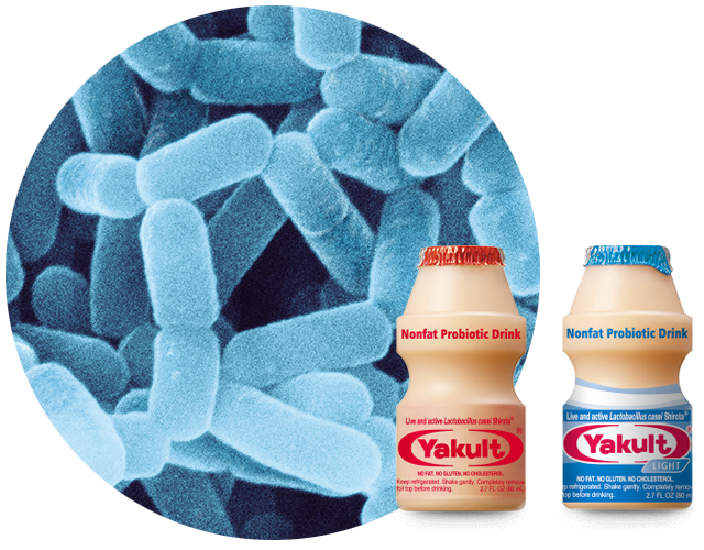 Yakult